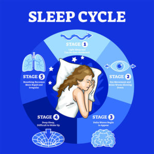 graphic showing the stages of sleep